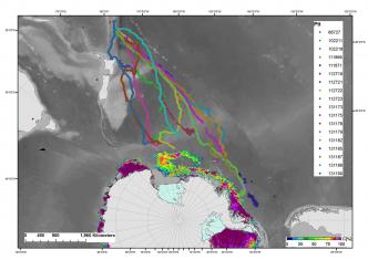 11 Jan 2016, Antarctic Southern Ocean feeding grounds  