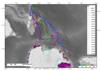 15 Feb 2016, Antarctic Southern Ocean feeding grounds  